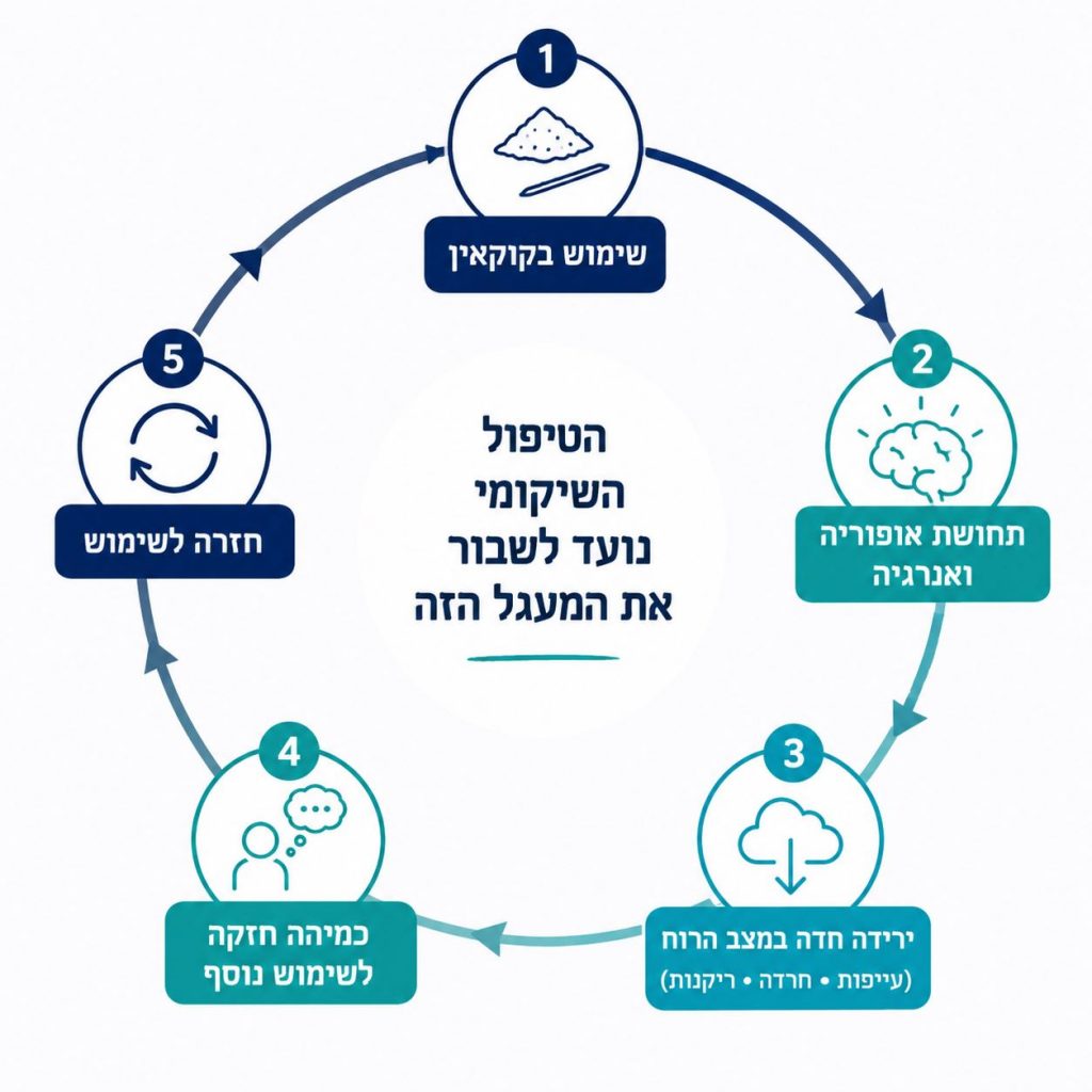 מעגל התמכרות לקוקאין